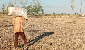 filter: 0; jpegRotation: 0; fileterIntensity: 0.000000; filterMask: 0;