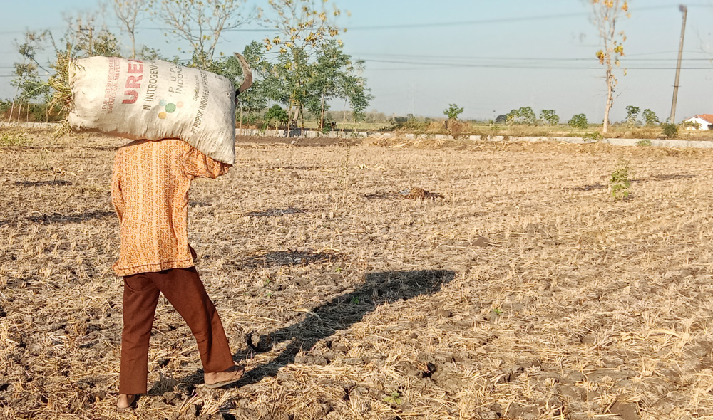 filter: 0; jpegRotation: 0; fileterIntensity: 0.000000; filterMask: 0;